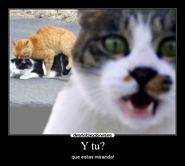 Y tu? - que estas mirando!