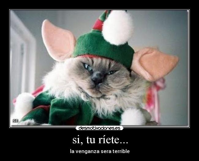 si, tu ríete... - la venganza sera terrible