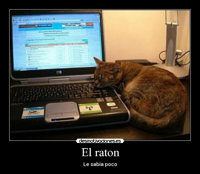 El raton -