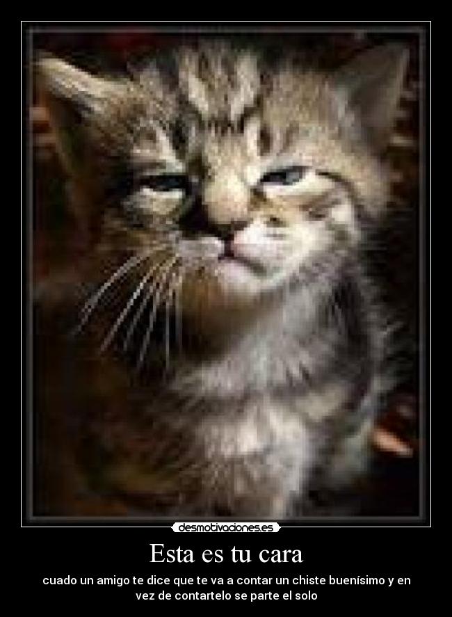 Esta es tu cara -