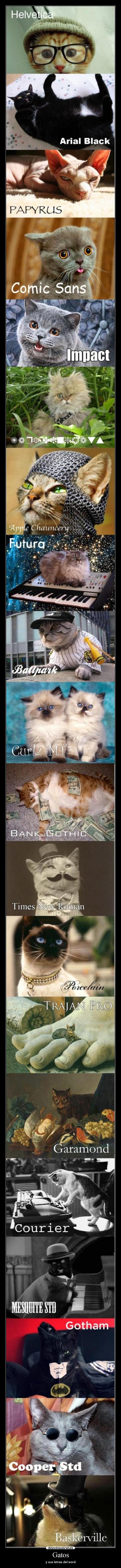 Gatos - y sus letras del word