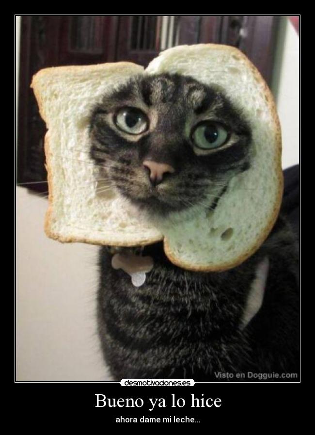 Bueno ya lo hice - ahora dame mi leche...