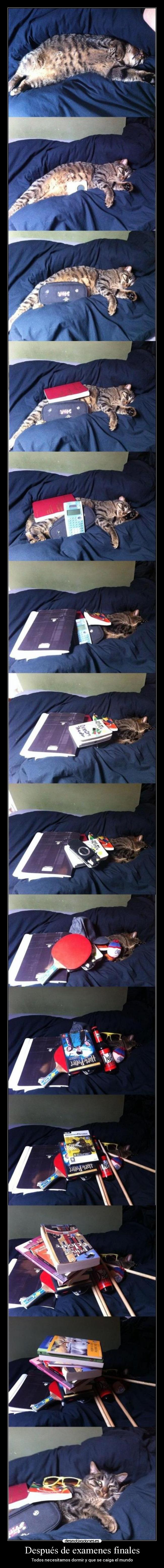 Después de examenes finales -