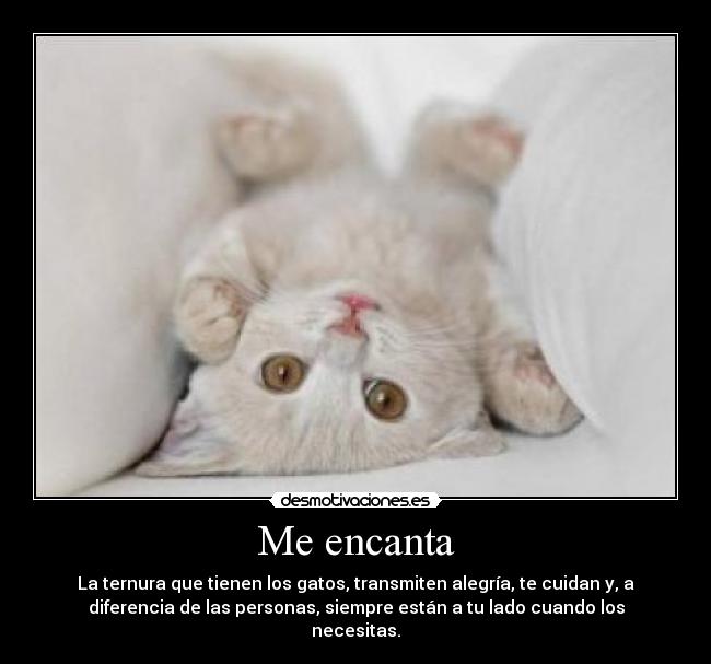Me encanta - 