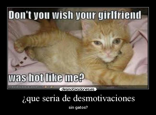 ¿que seria de desmotivaciones - sin gatos?