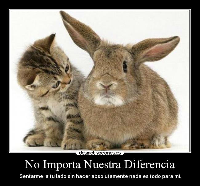 No Importa Nuestra Diferencia - Sentarme a tu lado sin hacer absolutamente nada es todo para mi.