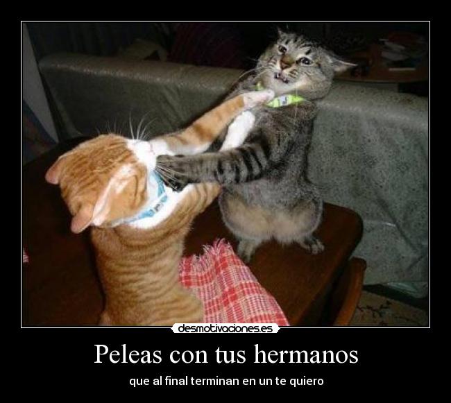 Peleas con tus hermanos - 