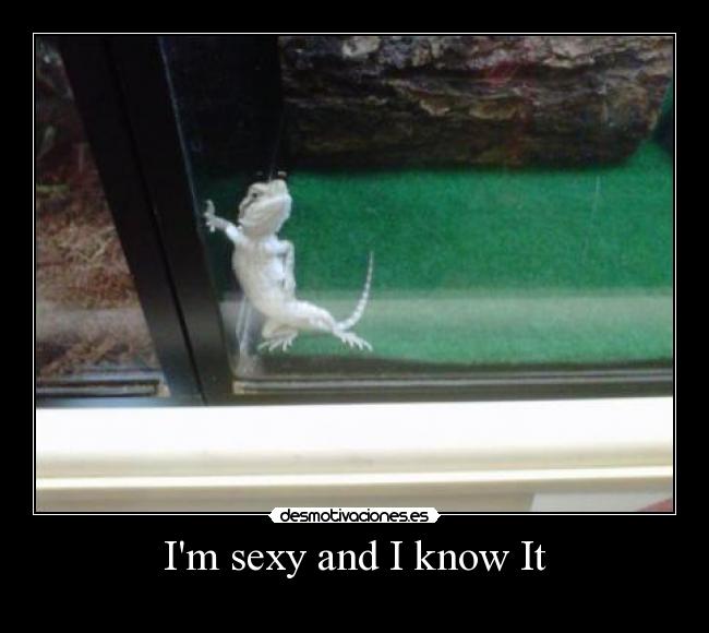 Im sexy and I know It - 