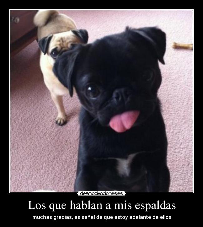 Los que hablan a mis espaldas - muchas gracias, es señal de que estoy adelante de ellos