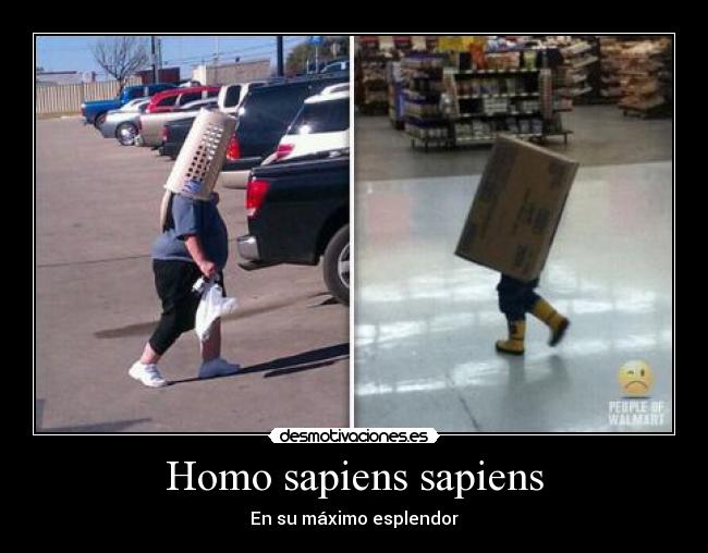 carteles nazari andaluz desmotivaciones