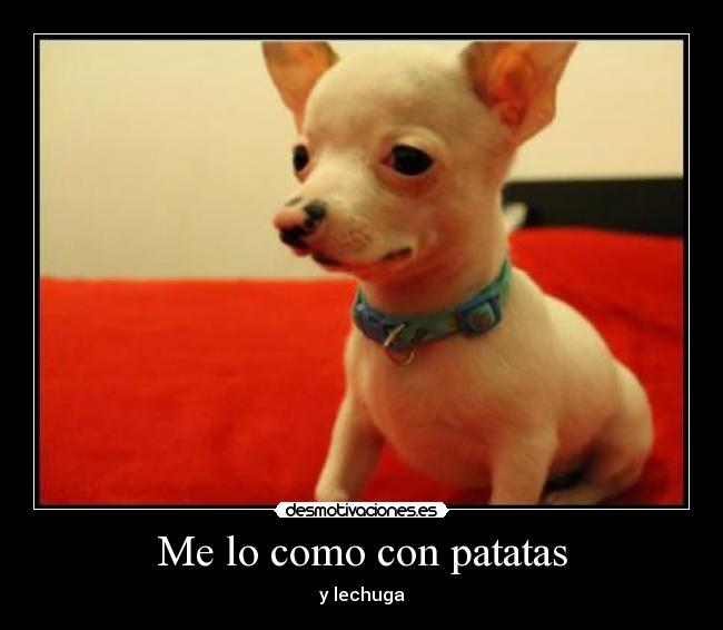 carteles desmotivaciones