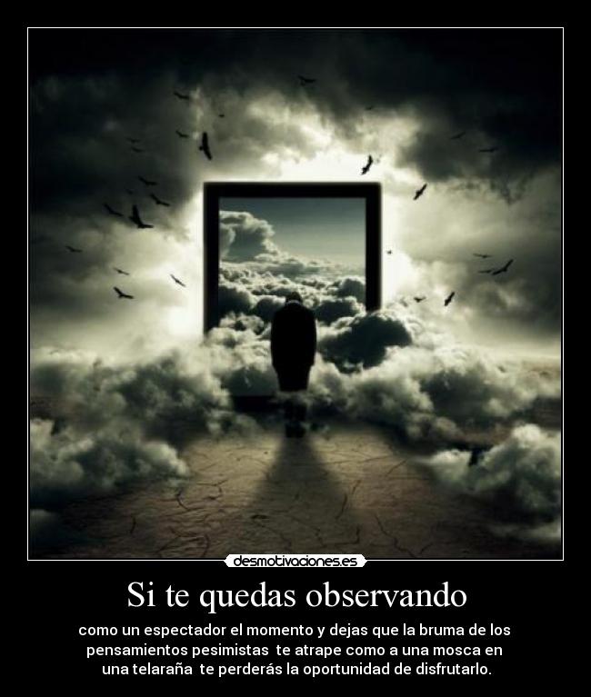 Si te quedas observando - como un espectador el momento y dejas que la bruma de los 
pensamientos pesimistas  te atrape como a una mosca en 
una telaraña  te perderás la oportunidad de disfrutarlo.