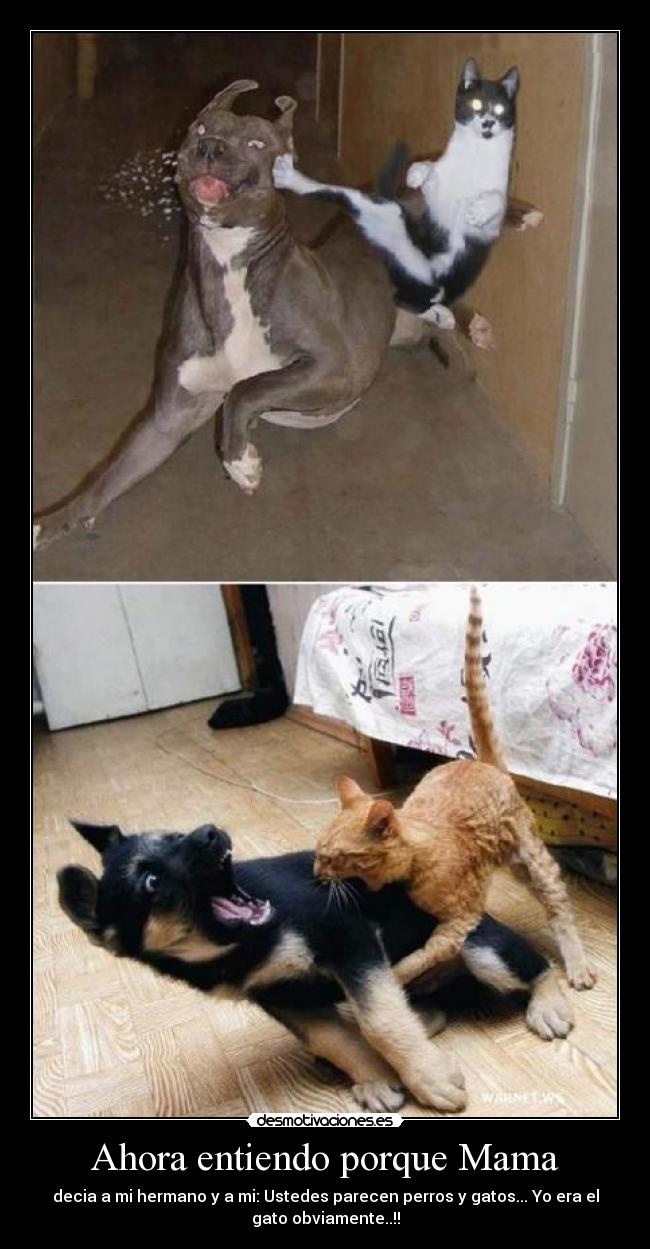Ahora entiendo porque Mama -