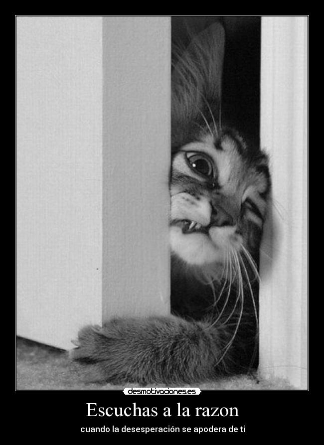 Escuchas a la razon - 