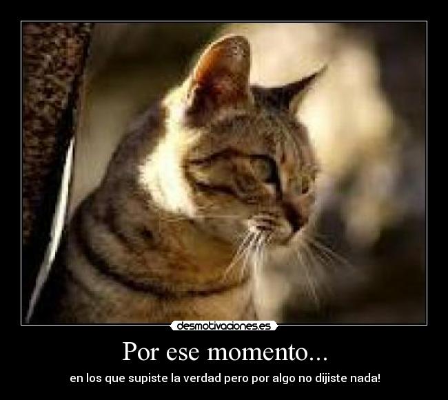 Por ese momento... - en los que supiste la verdad pero por algo no dijiste nada!