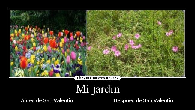 Mi jardin -