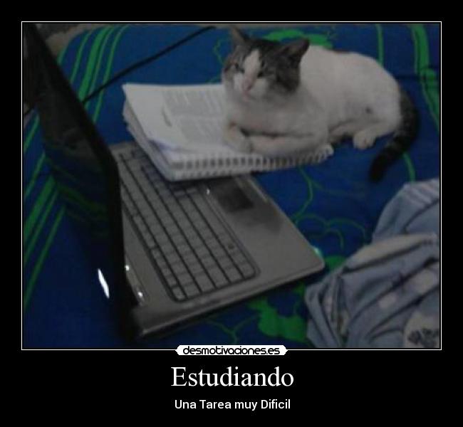 Estudiando - 