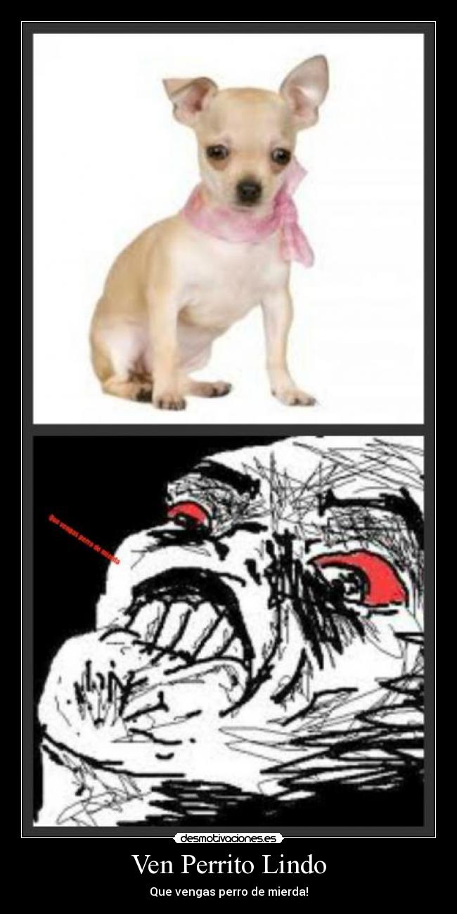 Ven Perrito Lindo -
