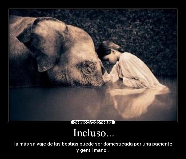 Incluso... - la más salvaje de las bestias puede ser domesticada por una paciente y gentil mano…