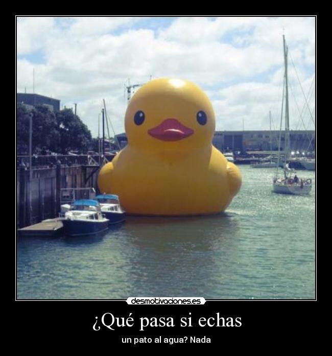 ¿Qué pasa si echas - un pato al agua? Nada