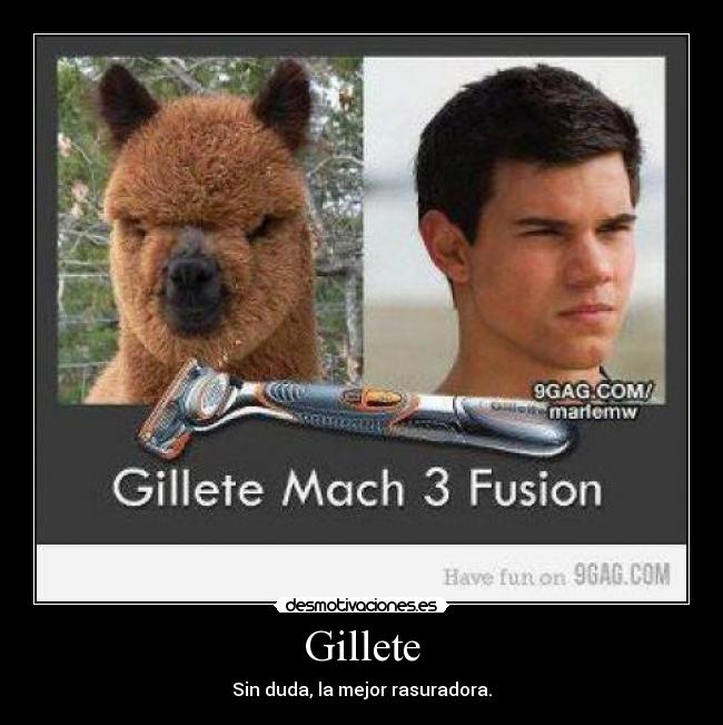 Gillete -
