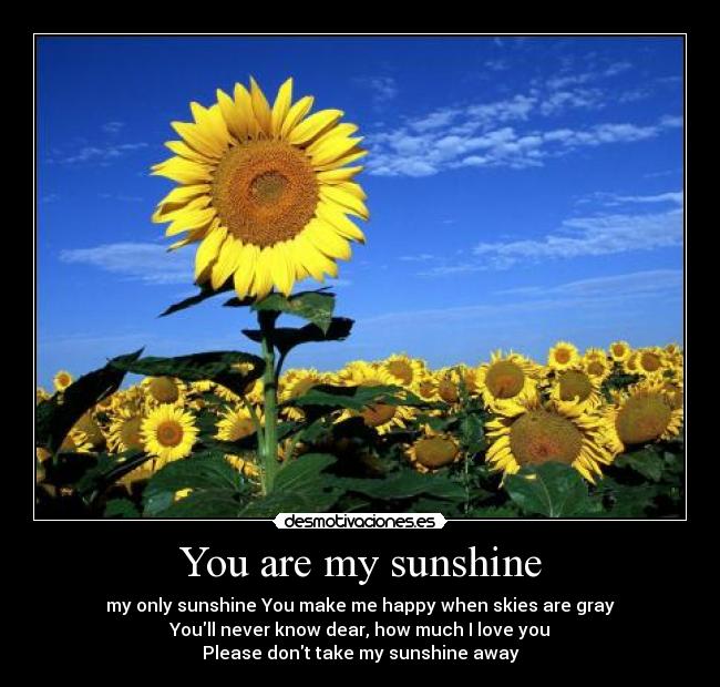 You are my sunshine - 