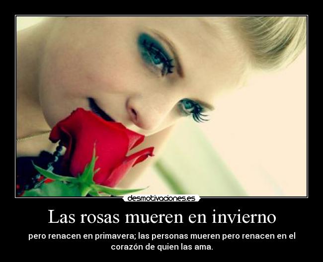 Las rosas mueren en invierno - 