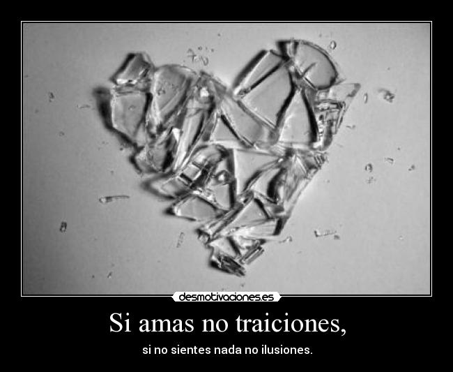 Si amas no traiciones, -