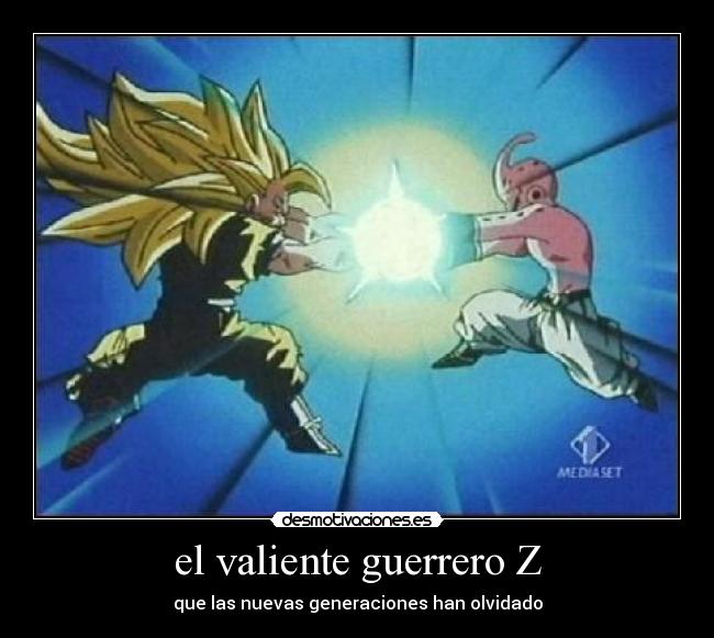 el valiente guerrero Z - 