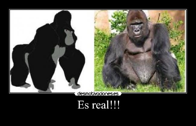 Es real!!! -