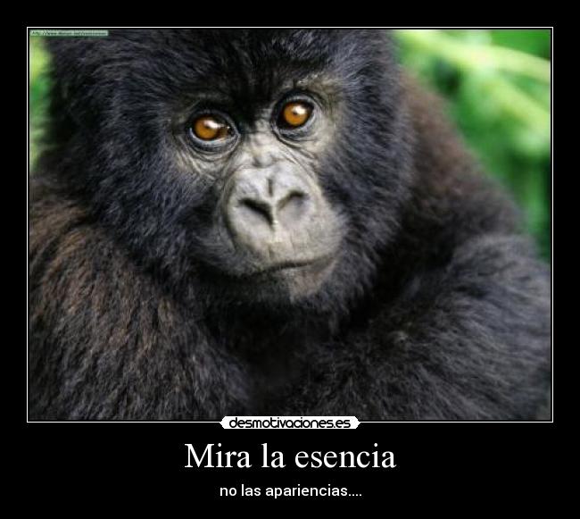 Mira la esencia - no las apariencias....
