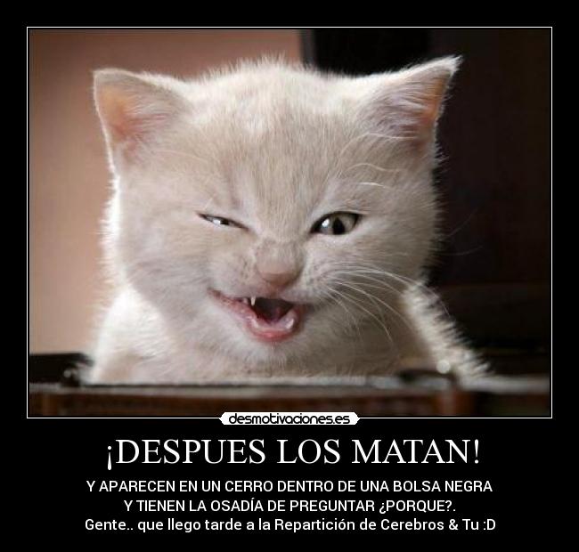 ¡DESPUES LOS MATAN! - 