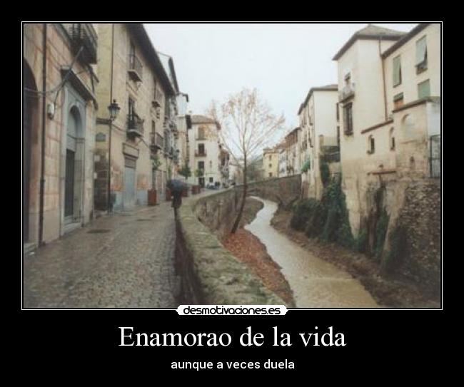 Enamorao de la vida - aunque a veces duela