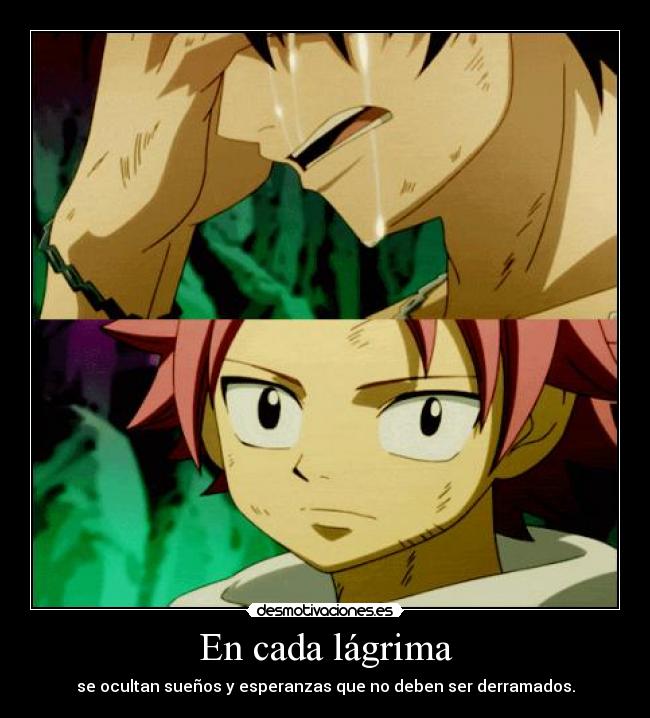 carteles fairy tail natsu gray desmotivaciones