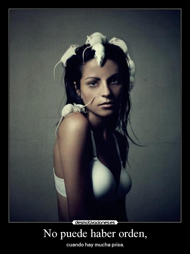 No puede haber orden, - 
