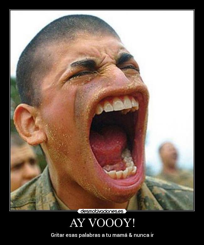 AY VOOOY! -