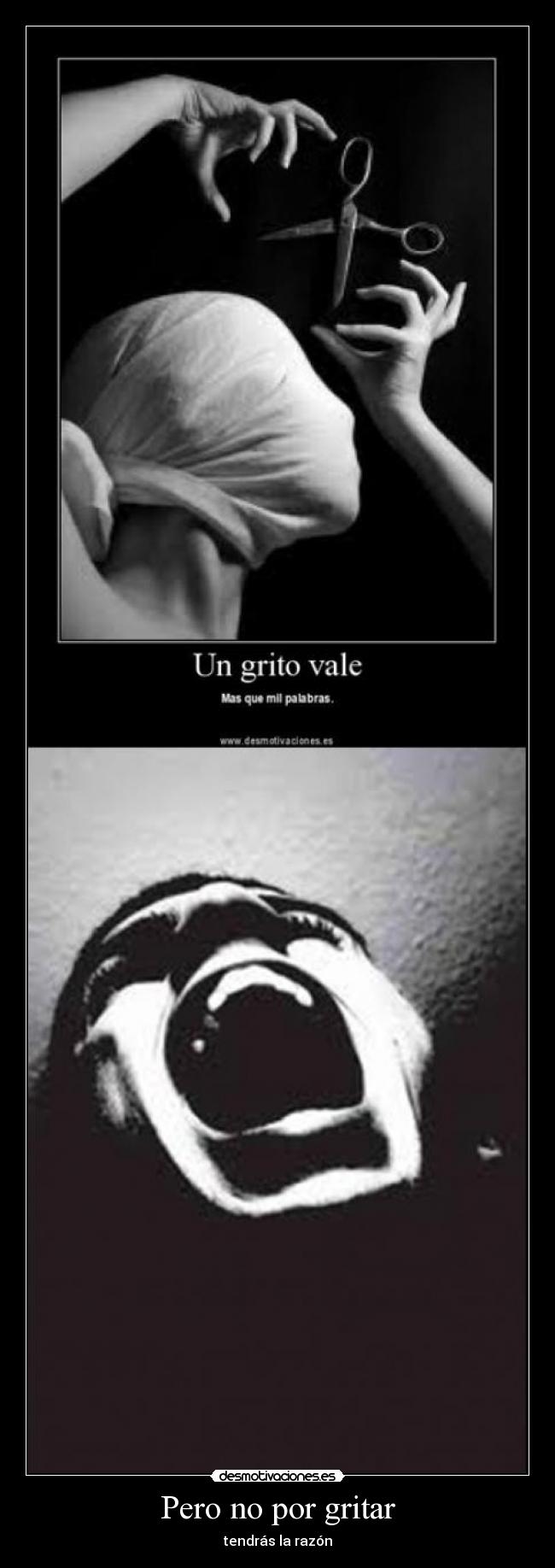 carteles gritar biba desmotivaciones