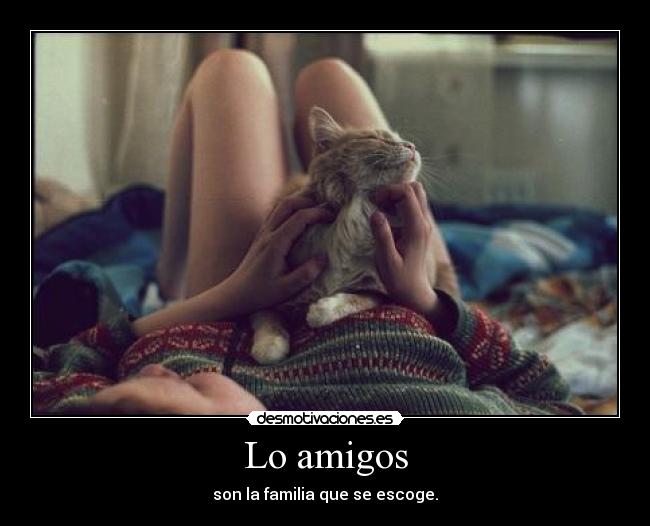 Lo amigos - 