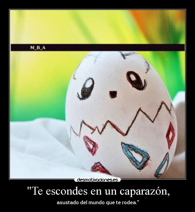 Te escondes en un caparazón, - 