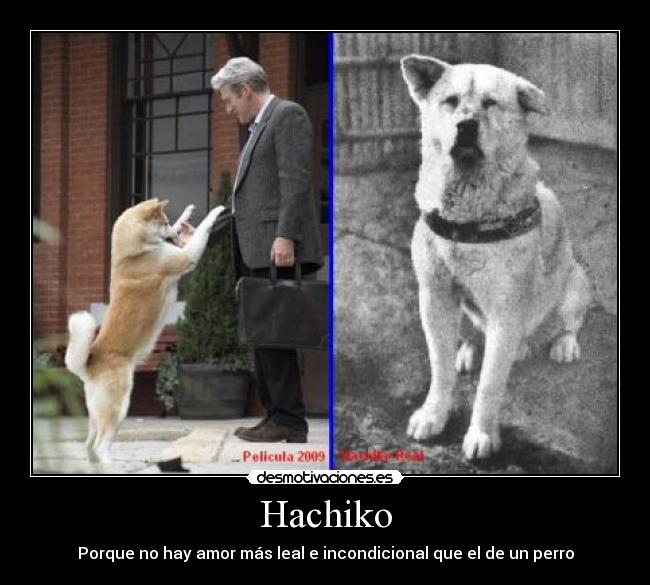 Hachiko - Porque no hay amor más leal e incondicional que el de un perro
