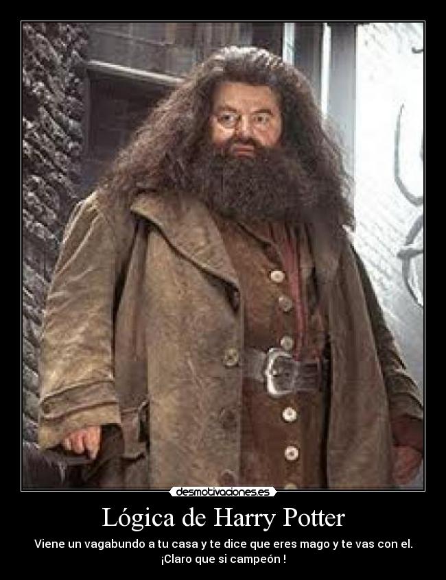 Lógica de Harry Potter - 