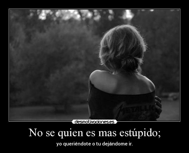 No se quien es mas estúpido; -