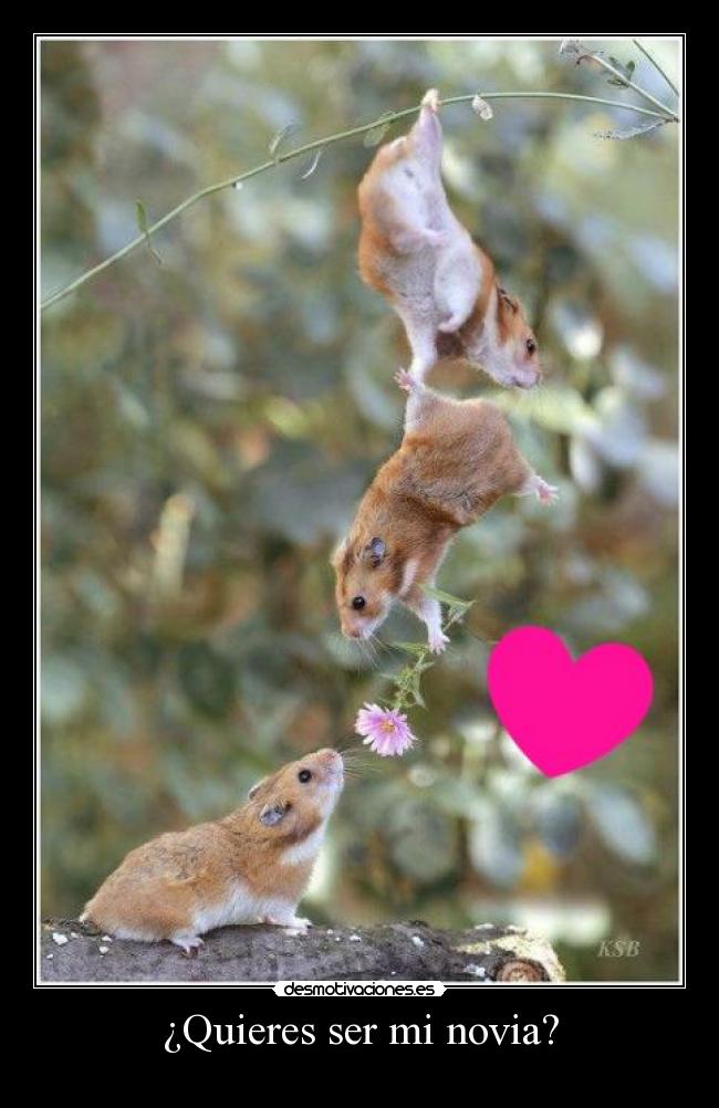 ¿Quieres ser mi novia? -