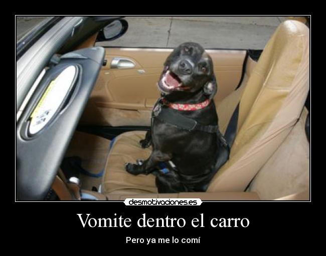 Vomite dentro el carro -