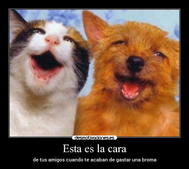 Esta es la cara - de tus amigos cuando te acaban de gastar una broma