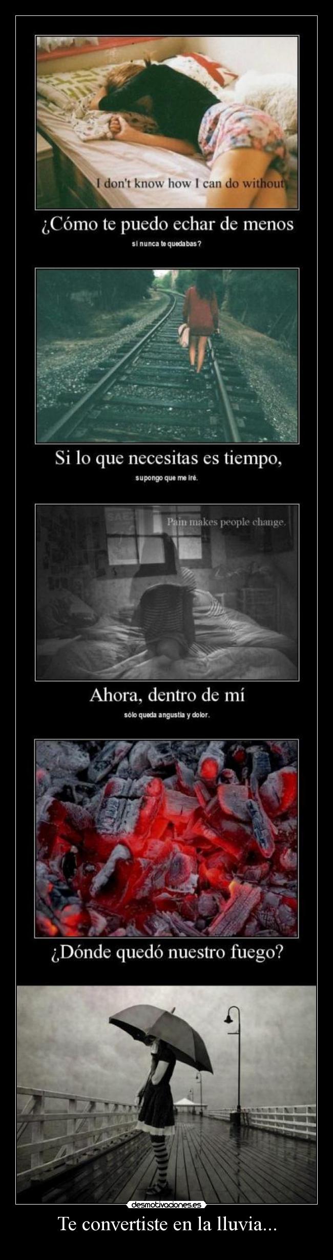 Te convertiste en la lluvia... -