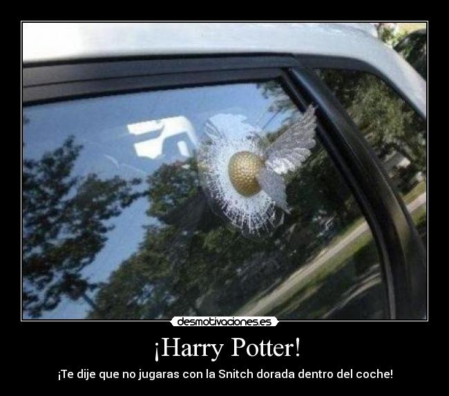 ¡Harry Potter! -