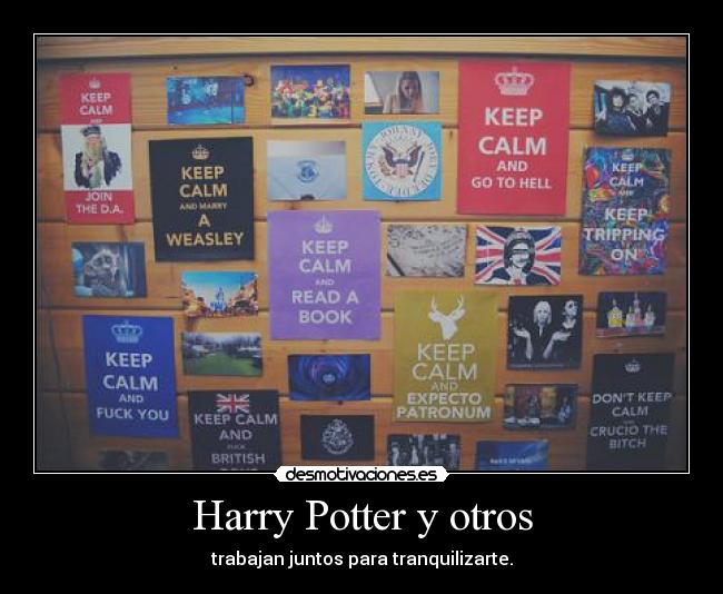 Harry Potter y otros - trabajan juntos para tranquilizarte.