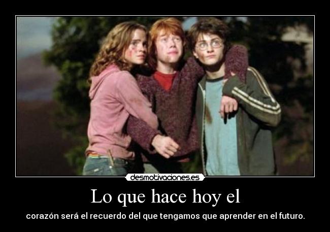carteles harry potter desmotivaciones