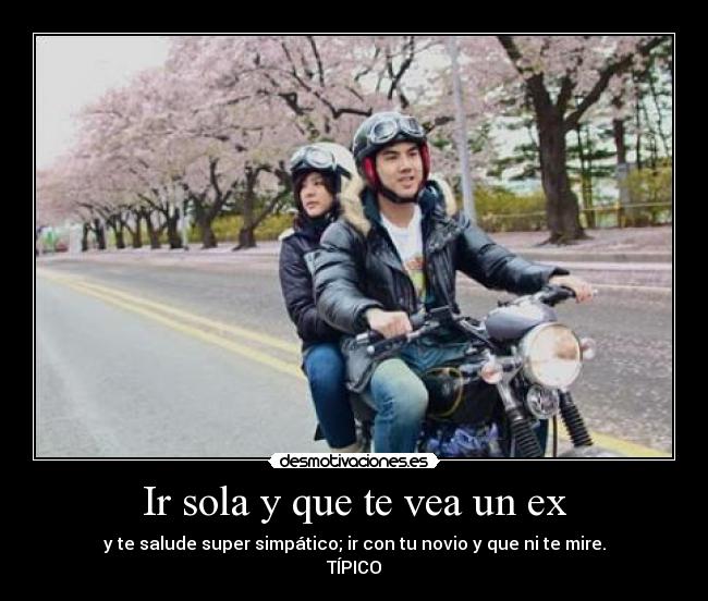 carteles dibujando primaveras desmotivaciones